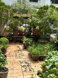 Avila Terrace (D17), Terrace #627853251